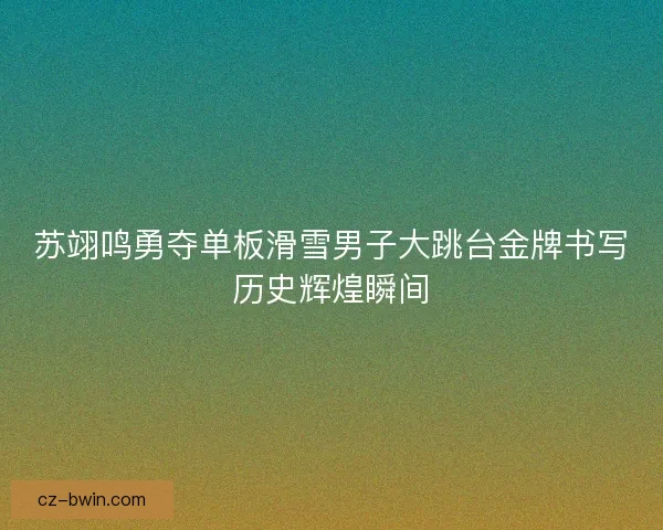 苏翊鸣勇夺单板滑雪男子大跳台金牌书写历史辉煌瞬间