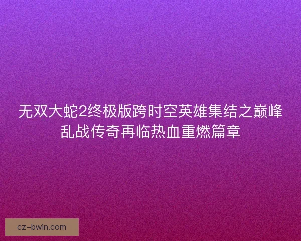 无双大蛇2终极版跨时空英雄集结之巅峰乱战传奇再临热血重燃篇章